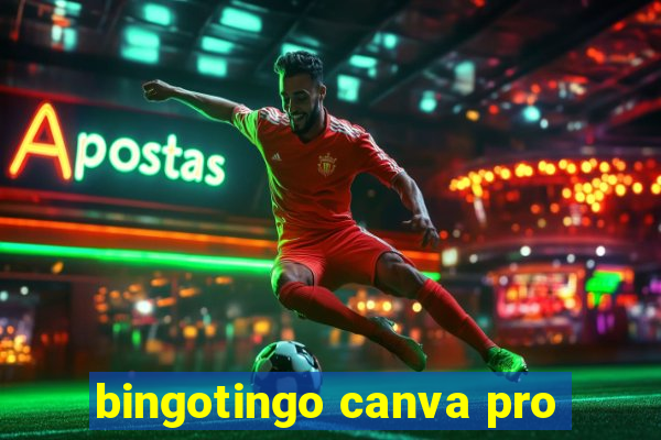 bingotingo canva pro