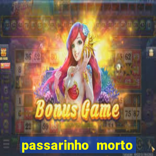 passarinho morto significado espiritual