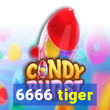 6666 tiger