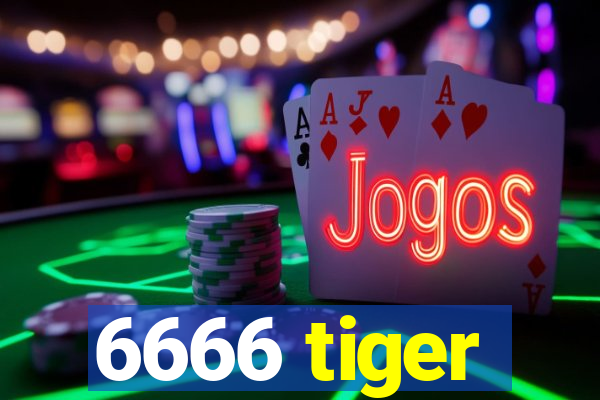 6666 tiger