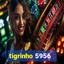 tigrinho 5956