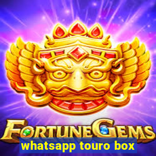 whatsapp touro box