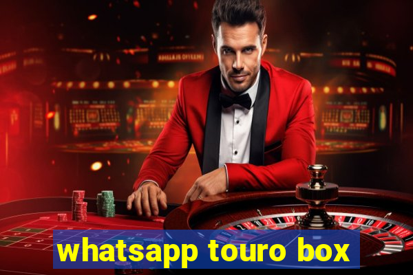 whatsapp touro box