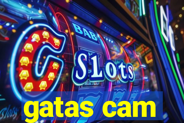 gatas cam