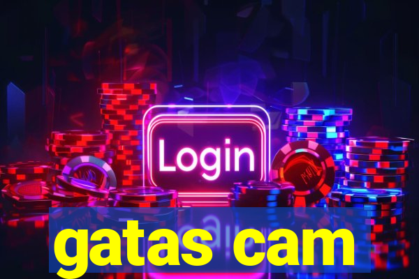 gatas cam