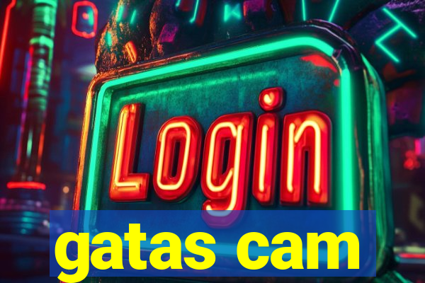 gatas cam