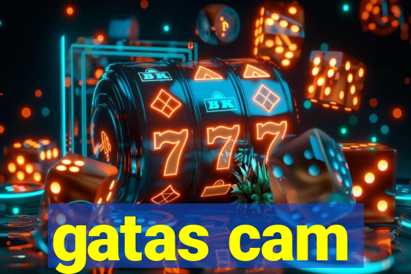 gatas cam