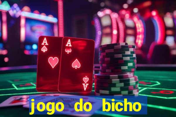 jogo do bicho banca ouro verde