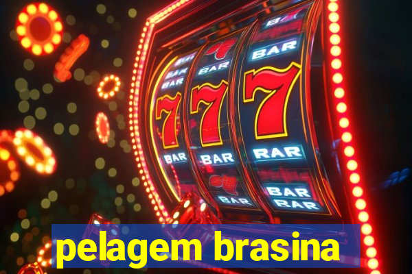 pelagem brasina