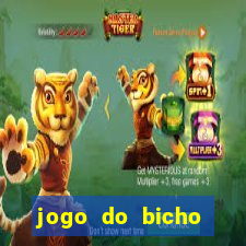 jogo do bicho tipos de apostas