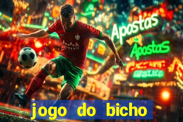 jogo do bicho tipos de apostas