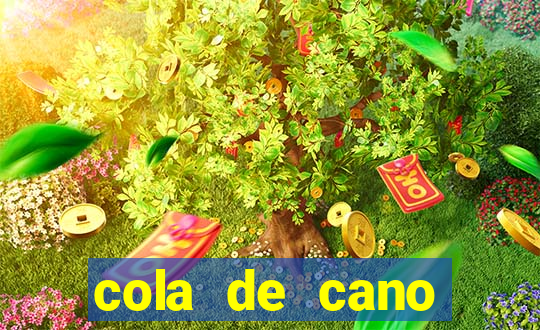 cola de cano quanto tempo para secar