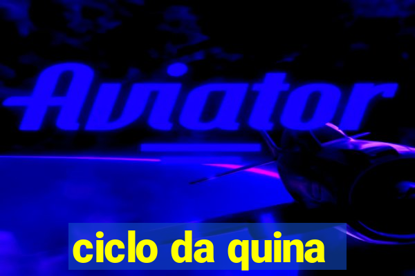 ciclo da quina