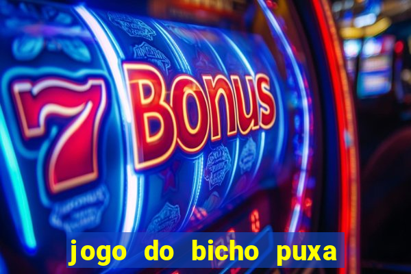 jogo do bicho puxa de dona maria