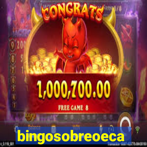 bingosobreoeca