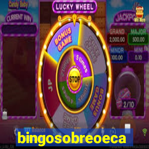 bingosobreoeca