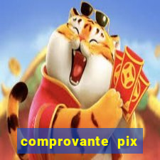 comprovante pix fake meme