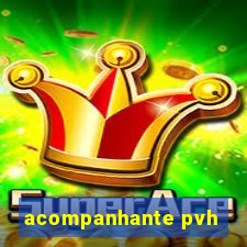 acompanhante pvh