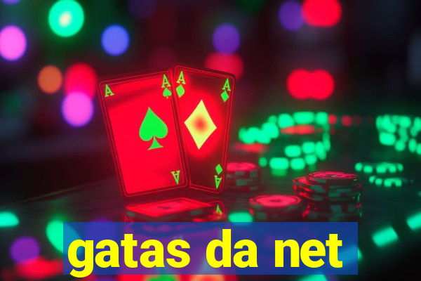 gatas da net