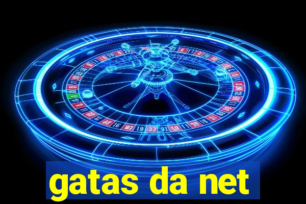 gatas da net