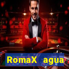 RomaX agua sanitaria fispq agua sanitaria romax