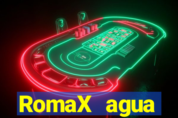 RomaX agua sanitaria fispq agua sanitaria romax