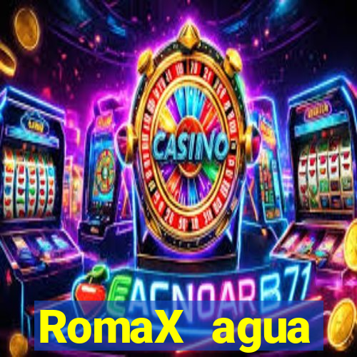 RomaX agua sanitaria fispq agua sanitaria romax