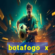 botafogo x palmeiras futmax