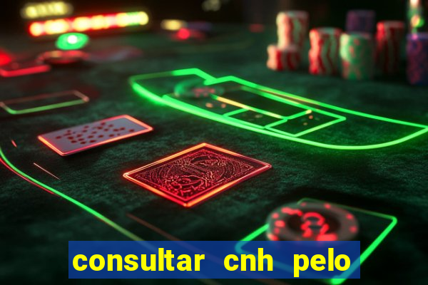 consultar cnh pelo cpf sp