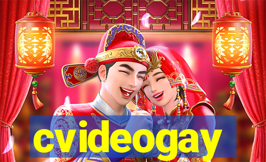 cvideogay