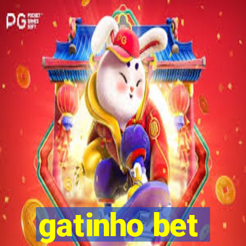 gatinho bet