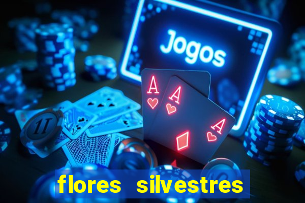 flores silvestres desbravadores desbravadores 25 flores silvestres e seus nomes