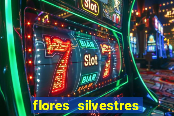 flores silvestres desbravadores desbravadores 25 flores silvestres e seus nomes