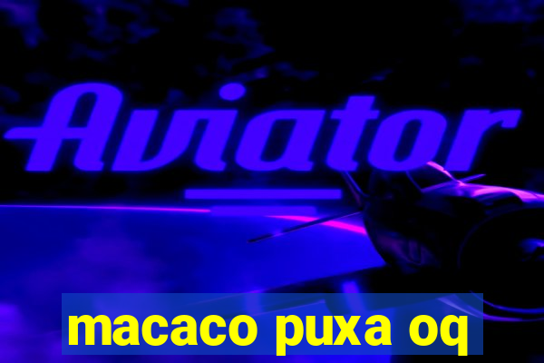 macaco puxa oq