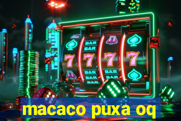 macaco puxa oq