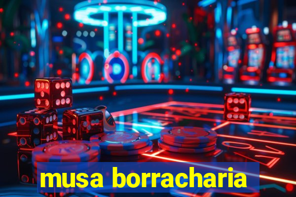 musa borracharia