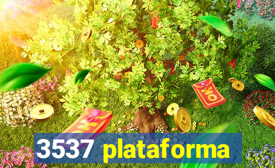 3537 plataforma