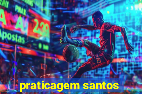 praticagem santos