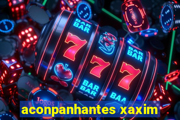 aconpanhantes xaxim