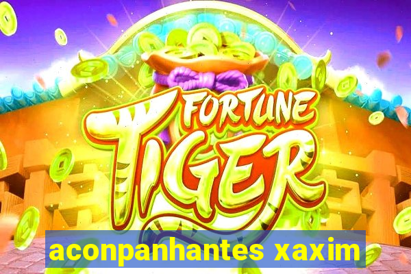 aconpanhantes xaxim