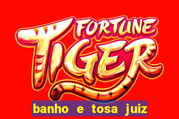 banho e tosa juiz de fora