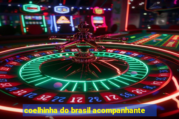 coelhinha do brasil acompanhante