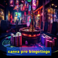 canva pro bingotingo