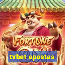 tvbet apostas