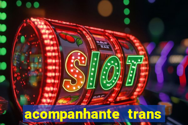 acompanhante trans porto seguro