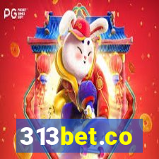 313bet.co