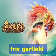 friv garfield