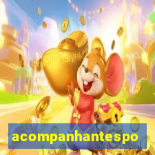 acompanhantesportovelho