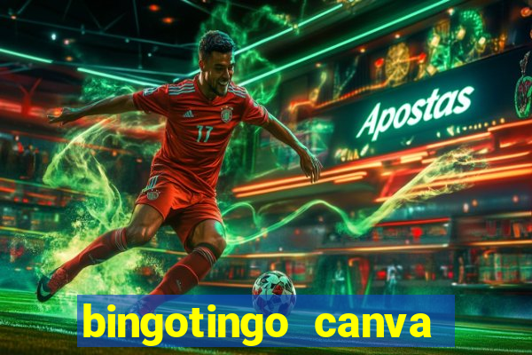 bingotingo canva pro gratis