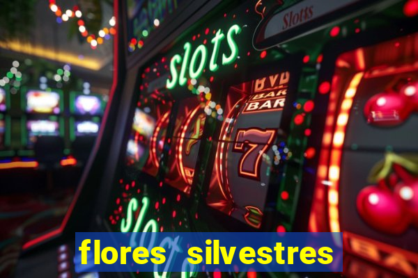 flores silvestres desbravadores desbravadores 25